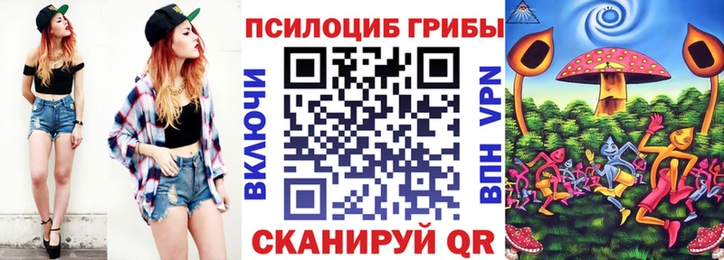ссылка на мегу как зайти где купить наркоту Георгиевск Псилоцибиновые грибы Magic Shrooms