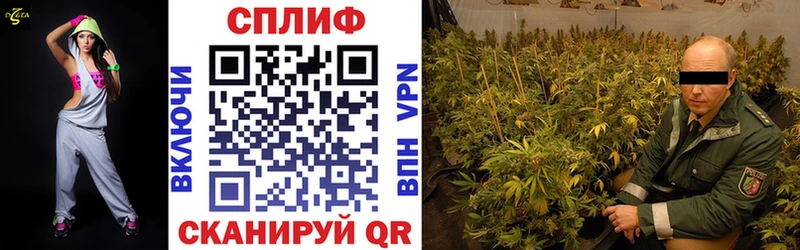 ОМГ ОМГ онион  Георгиевск  сайты даркнета как зайти  где можно купить   Канабис марихуана 